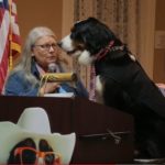 Pies został burmistrzem
