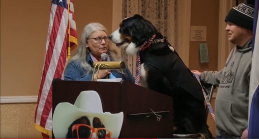 Pies został burmistrzem