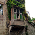 Nie żyje labrador Fidel - pies z okna w Brugii