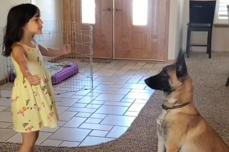 przeurocza zabawa dziewczynki i jej psa