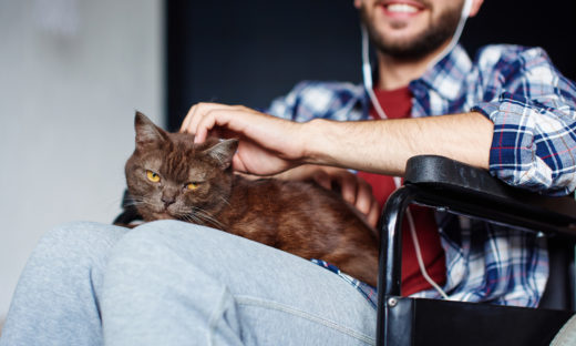 Terapia z kotem - kiedy warto ją zastosować?
