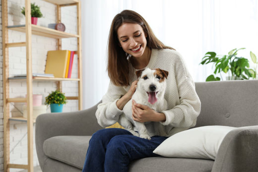 Uśmiechnięta młoda kobieta siedzi na szarej kanapie i trzyma swojego szczęśliwego psa na kolanach